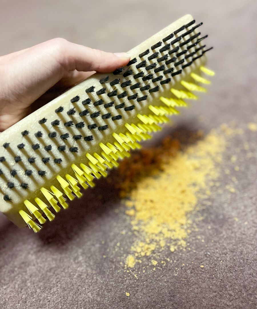 HOST spotZAPPER 2-in-1 Carpet Spot Cleaning Brush