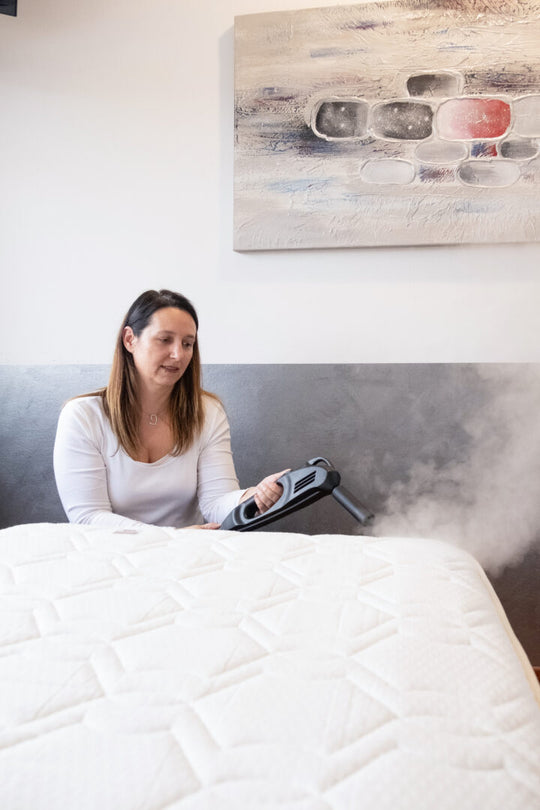 Bed Bug Remover Steam Gun