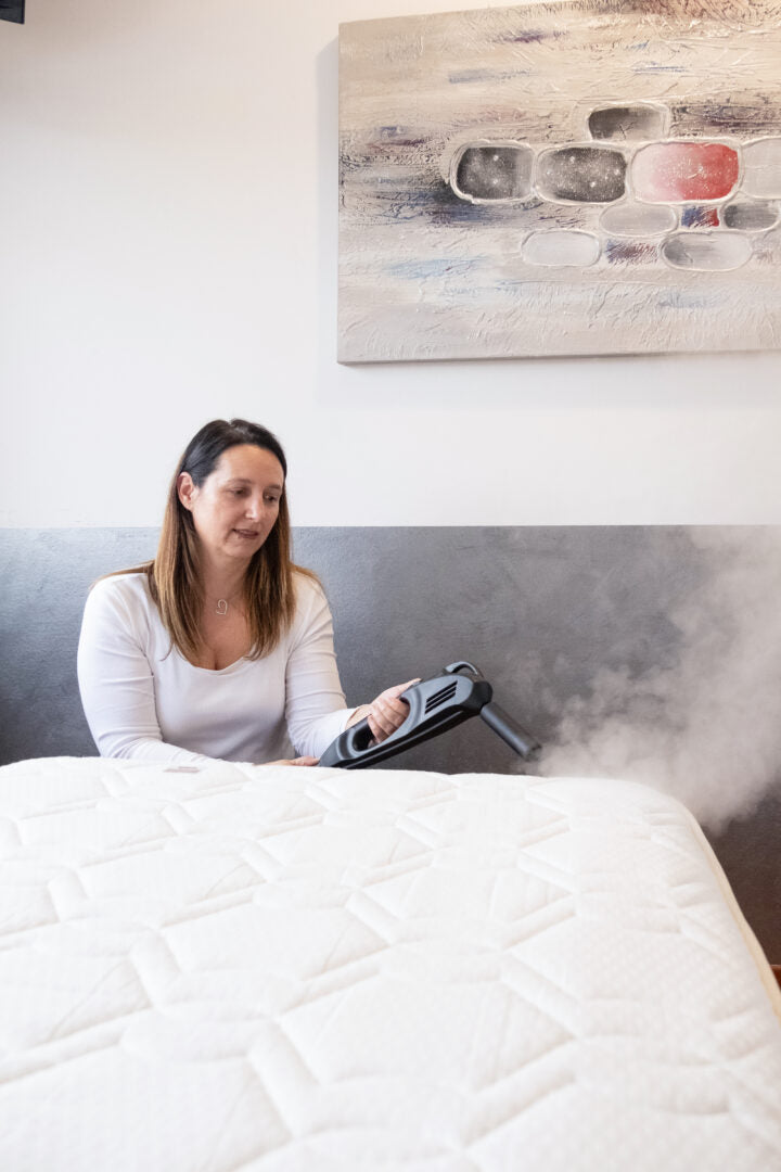 Bed Bug Remover Steam Gun
