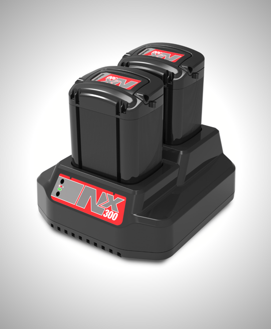 Dual Battery Charger