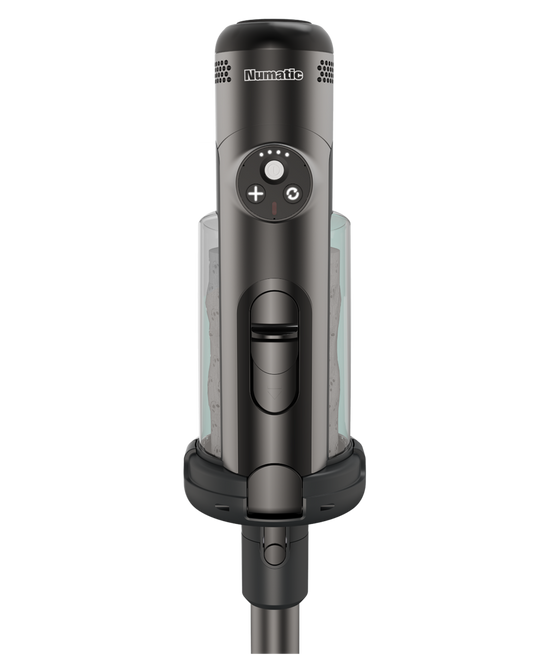NQ 100