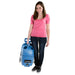 Bravo Automotive Carpet Extractor and Upholstery Cleaner